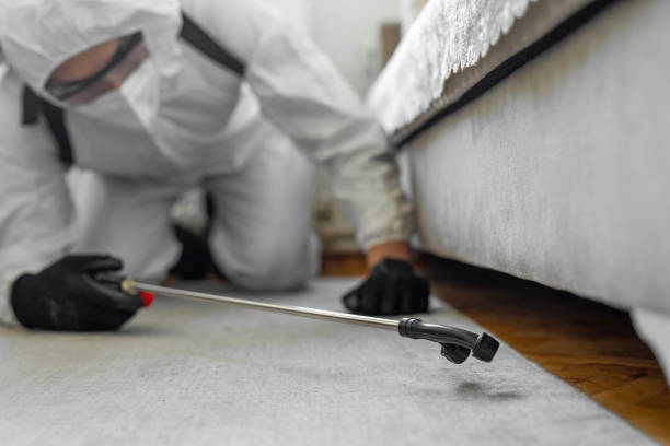 Professional Bed Bug Control technician working in Amity Gardens, PA